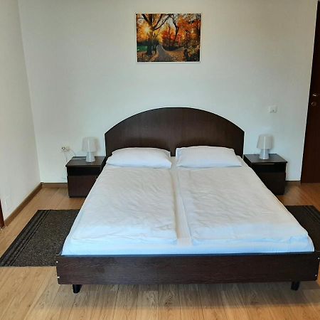 Vila Vanda Hotel คลูจ-นาโปกา ภายนอก รูปภาพ