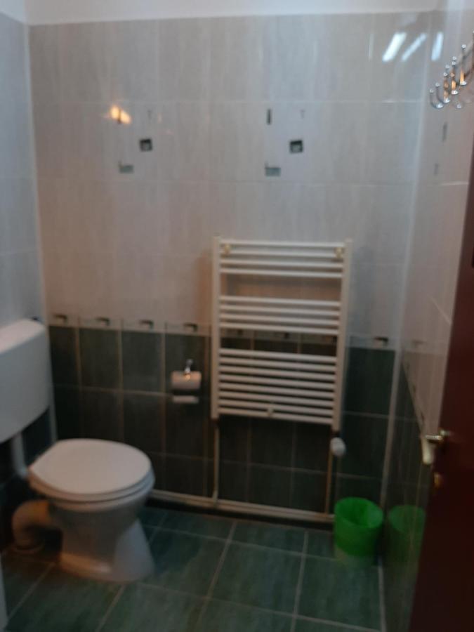 Vila Vanda คลูจ-นาโปกา ภายนอก รูปภาพ