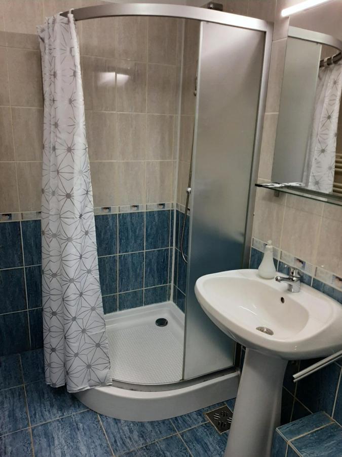 Vila Vanda คลูจ-นาโปกา ภายนอก รูปภาพ
